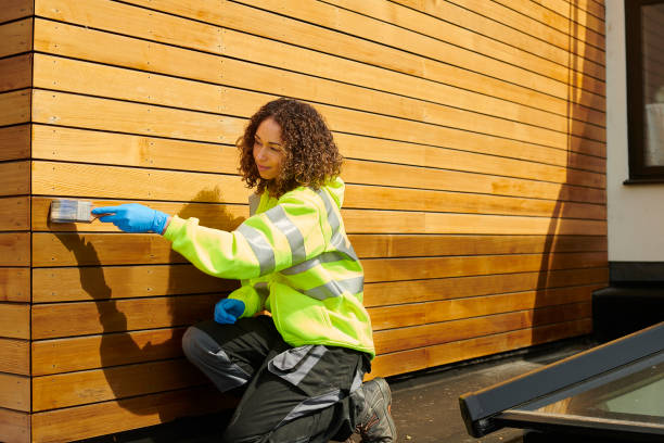 Best Siding Painting and Refinishing  in Southern Gateway, VA